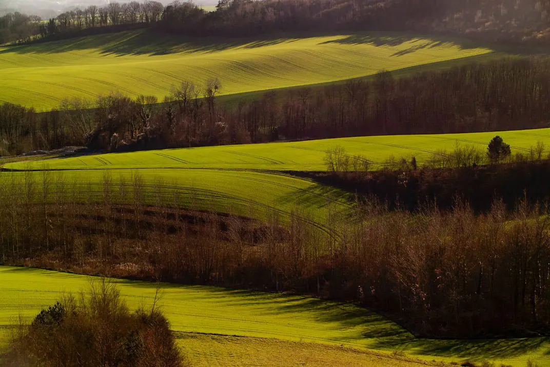 Primera Guerra Mundial
