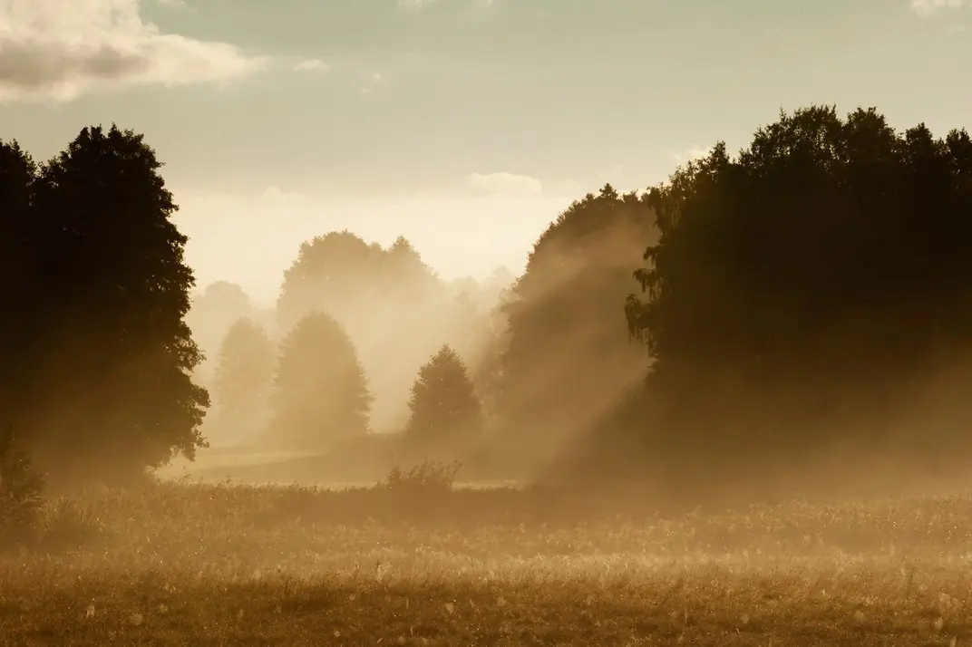 Primera Guerra Mundial