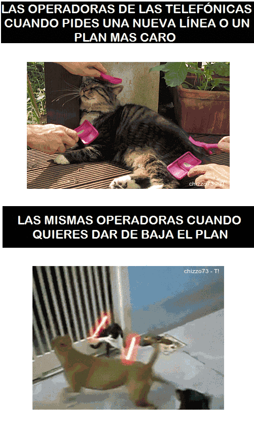 risas