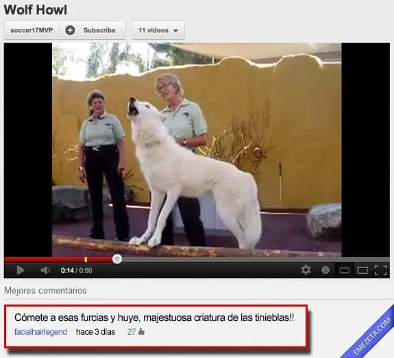 Los 25 mejores comentarios de Youtube - parte 2