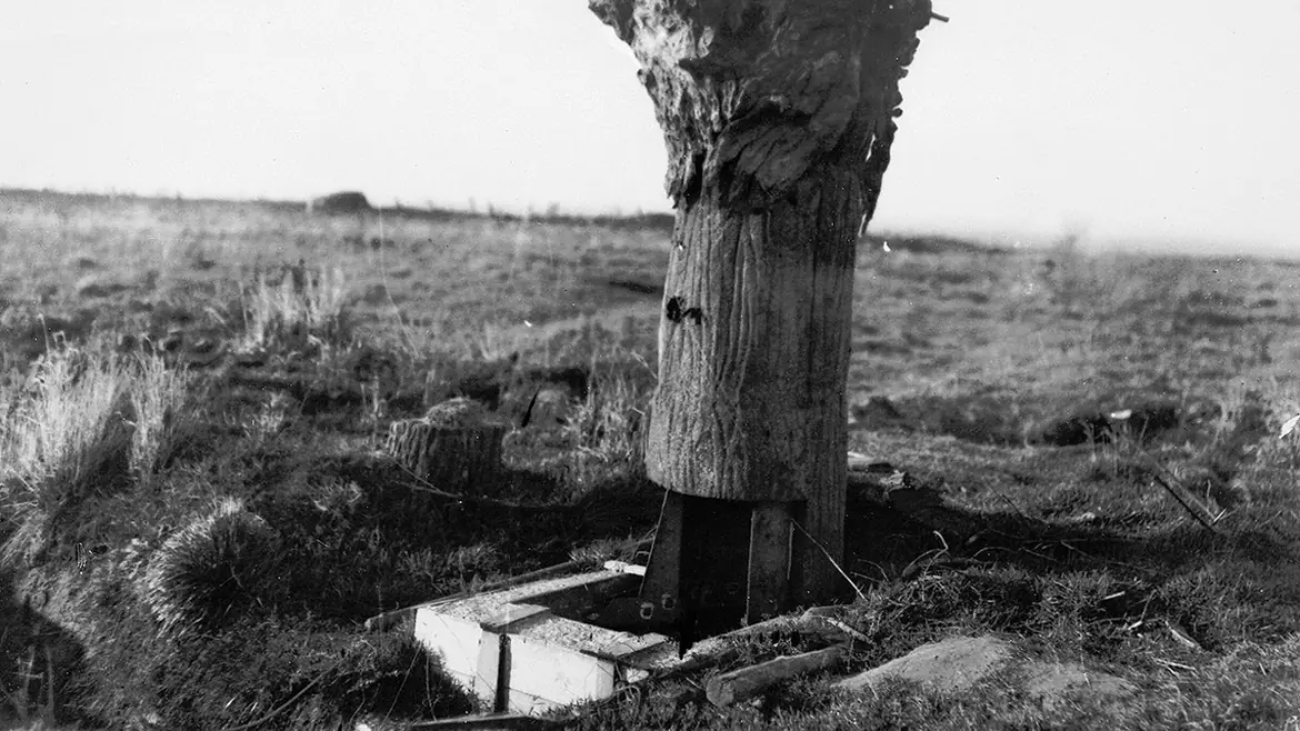 Tecnologia en la Primera Guerra Mundial
