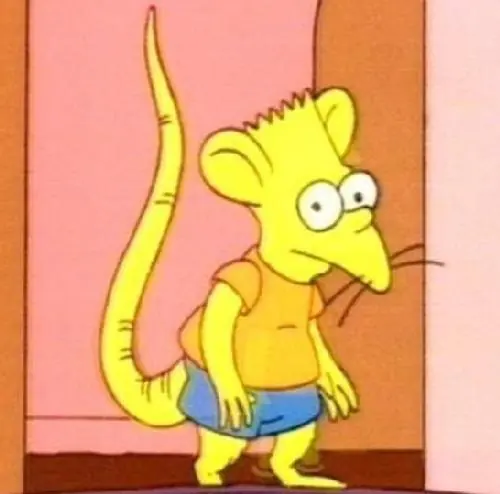 montaje