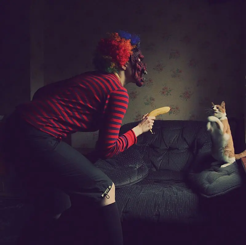 megapost de fotos graciosas