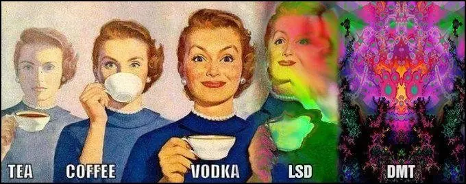 Drogas Psicicodelicas - DMT, LSD