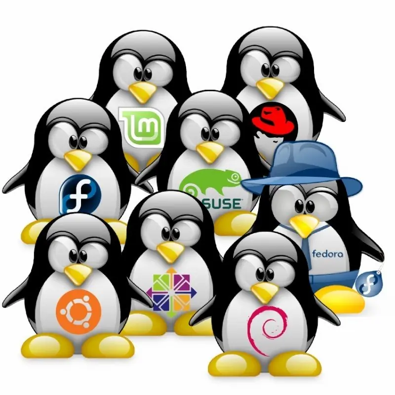 Distribuciones GNU-Linux, ¿qué son?