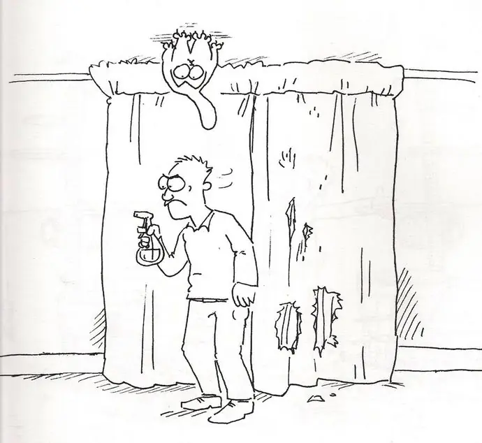 Entra y ríe con este gato.