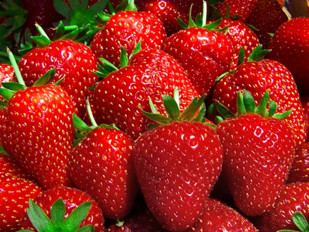 10 frutas que le ayudarán a bajar de peso