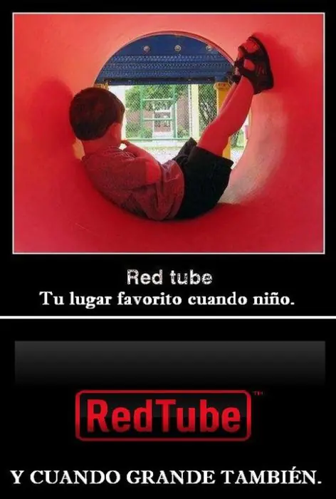 Grafico