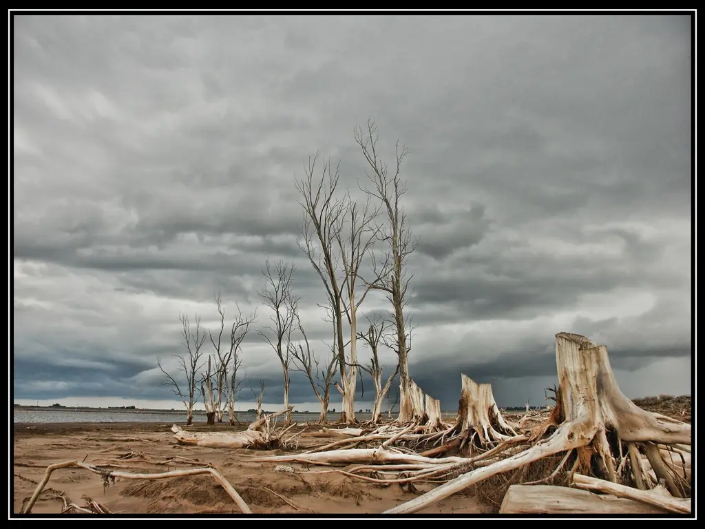 Villa Epecuén: La belleza de la Desolación (Fotos)