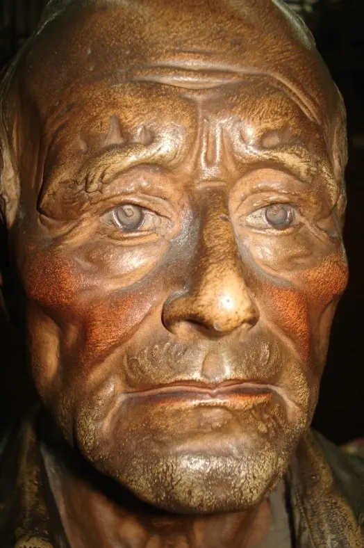 Antes y después. Mi patio en 5 años.