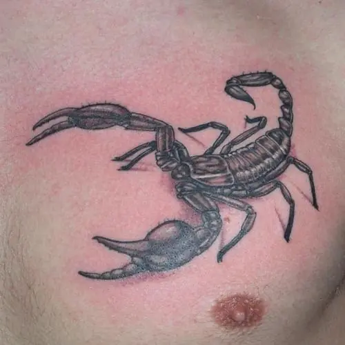 Si te interesan los tatuajes,Entra!