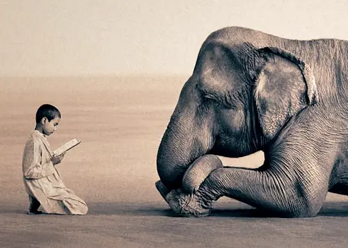 Gregory Colbert: en la cumbre del documentalismo artístico