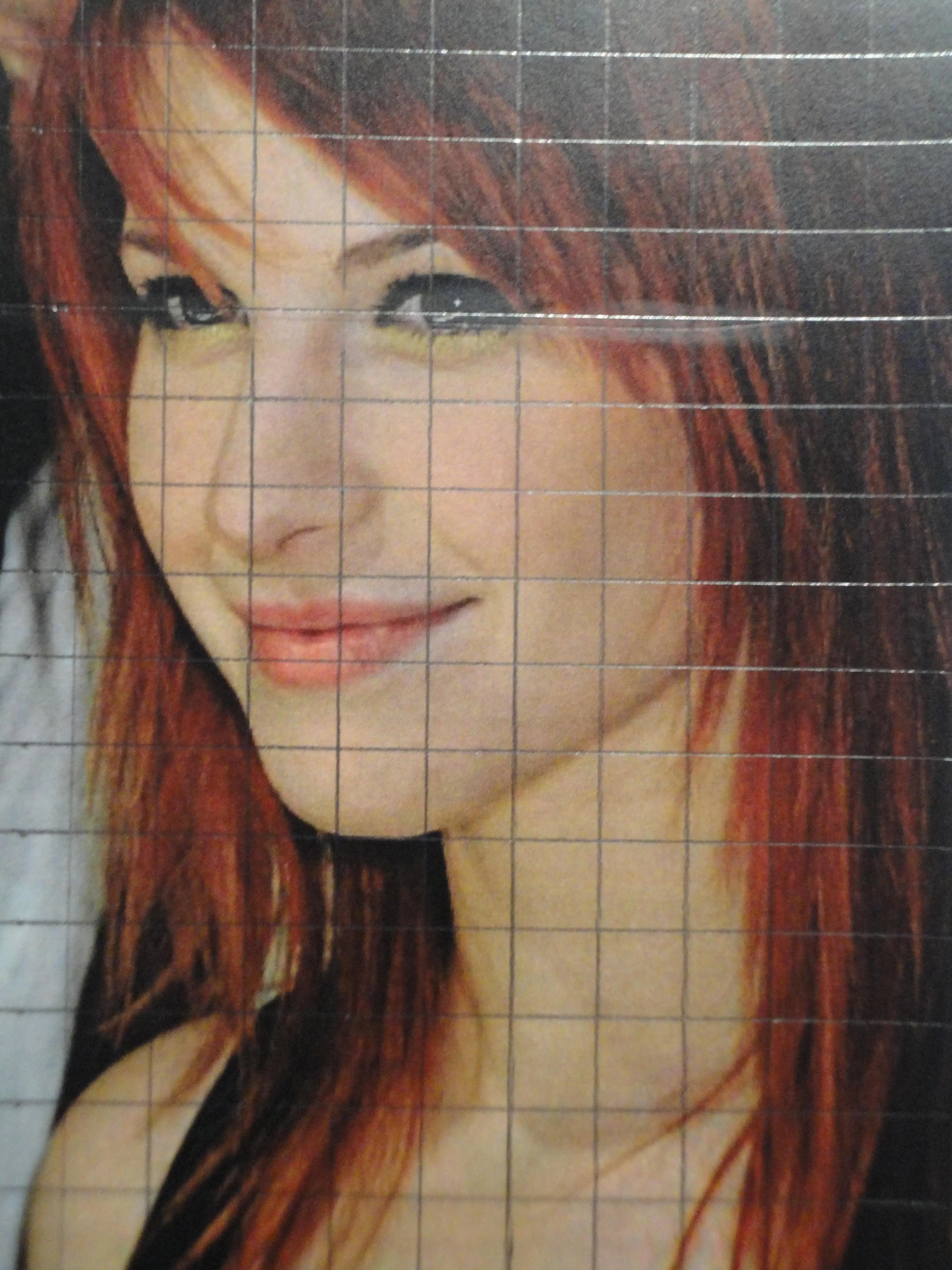 Dibujando a Hayley Williams