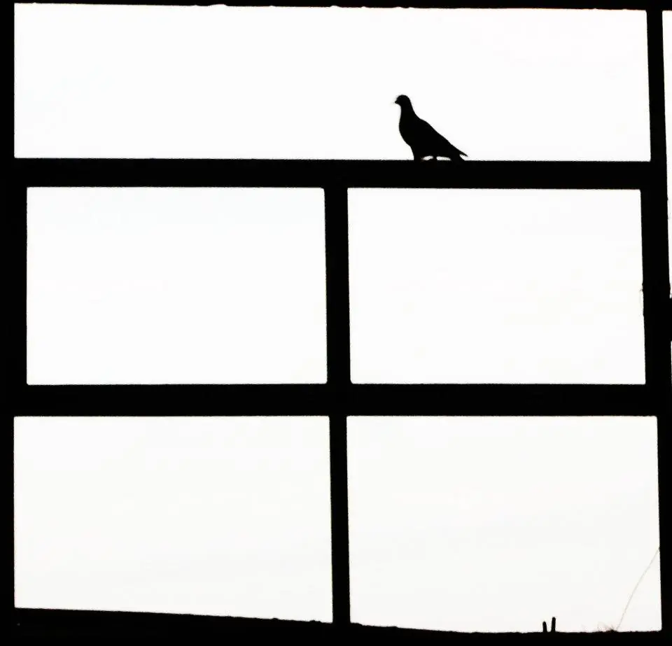 Fotografías propias 2 (autodidacta)