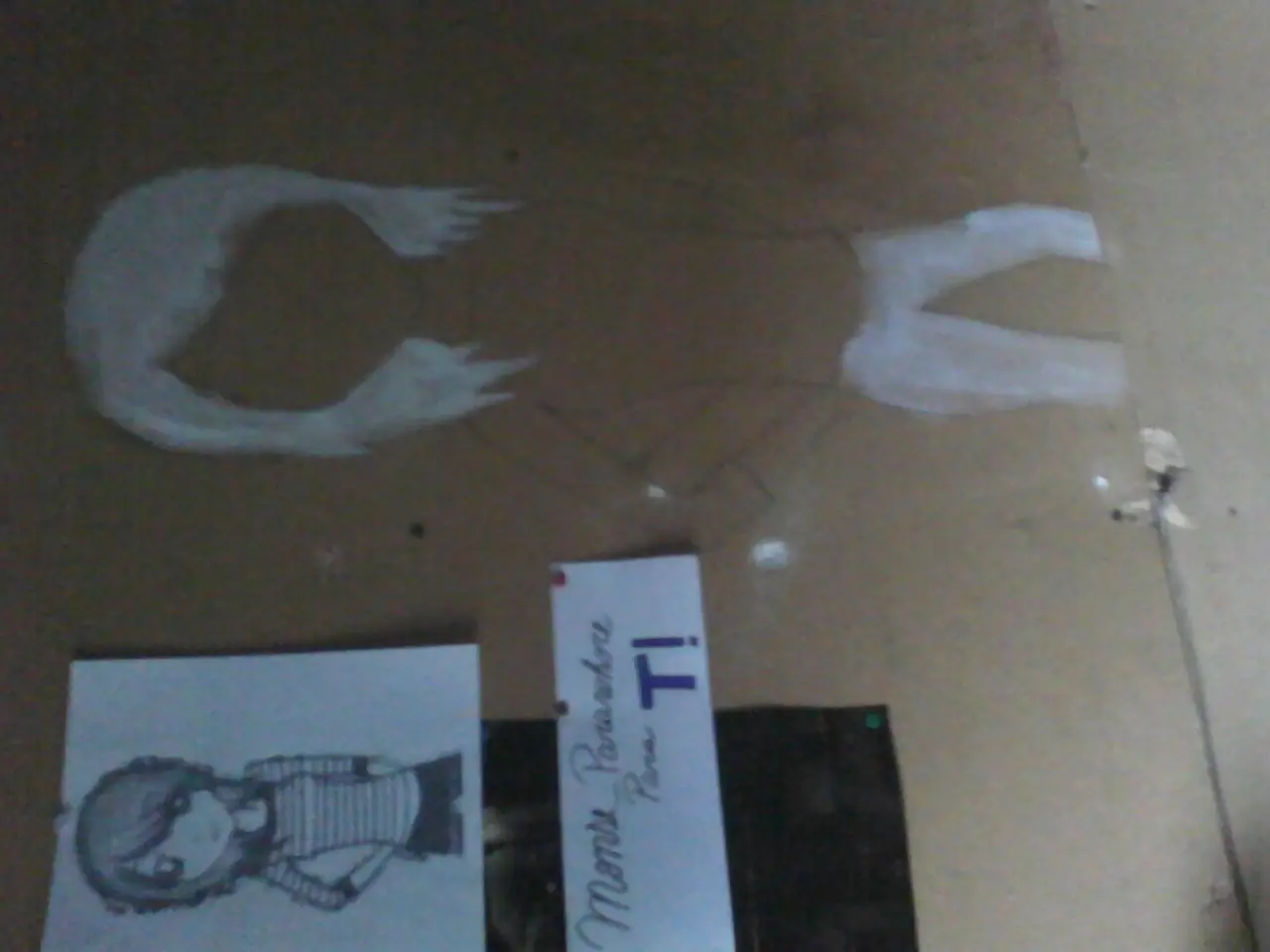 Dibujé a Hayley Williams en mi pared y te lo muestro