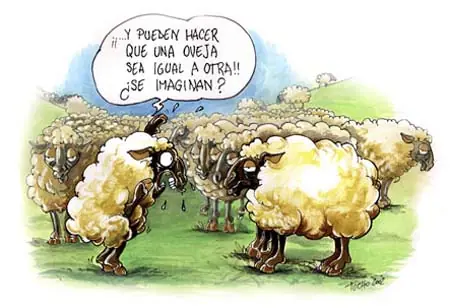 Refranes para gente culta