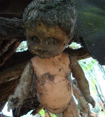 El árbol de las manitas