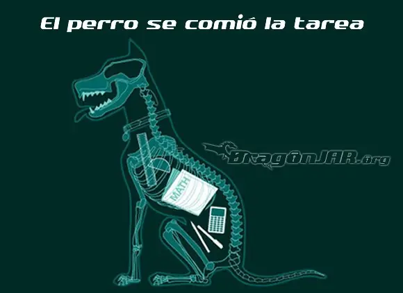 El perro se comió la tarea