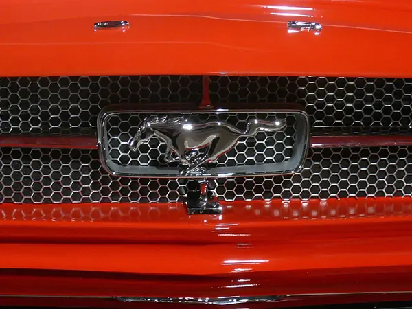 Ford Mustang convertido en un pool