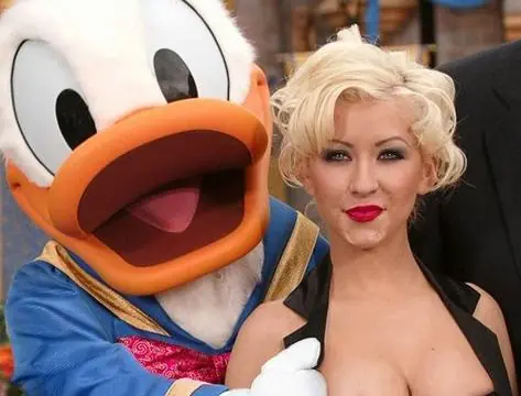 Pato Donald toquetón