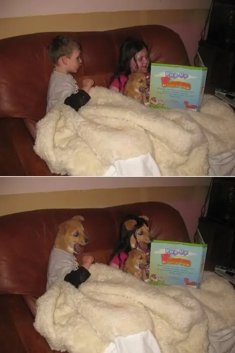 - No entren, no es tan gracioso