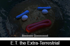 muy