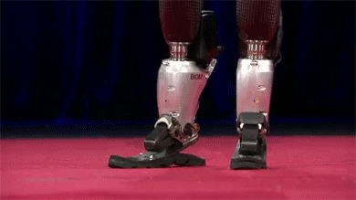 Gifs
