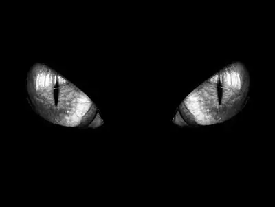 El gato negro,Edgar Allan Poe