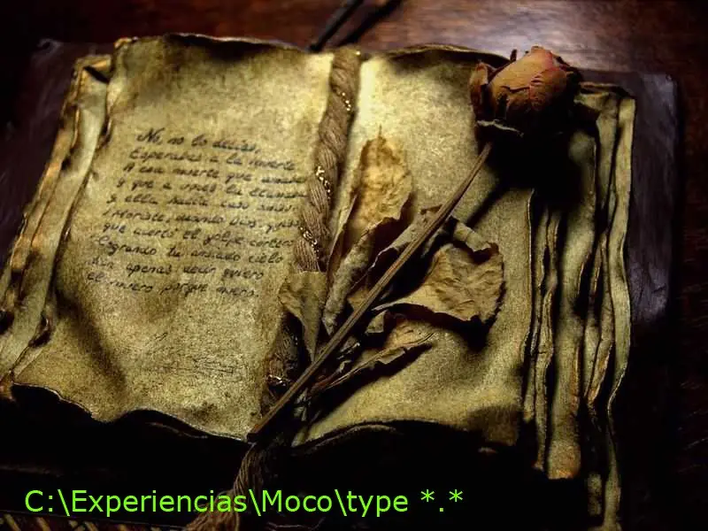 Moco Coco; Experiencias: Capitulo 10: How to ...