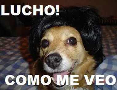 memes