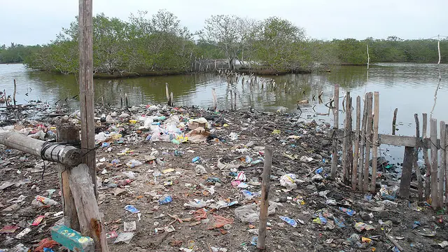 medio ambiente