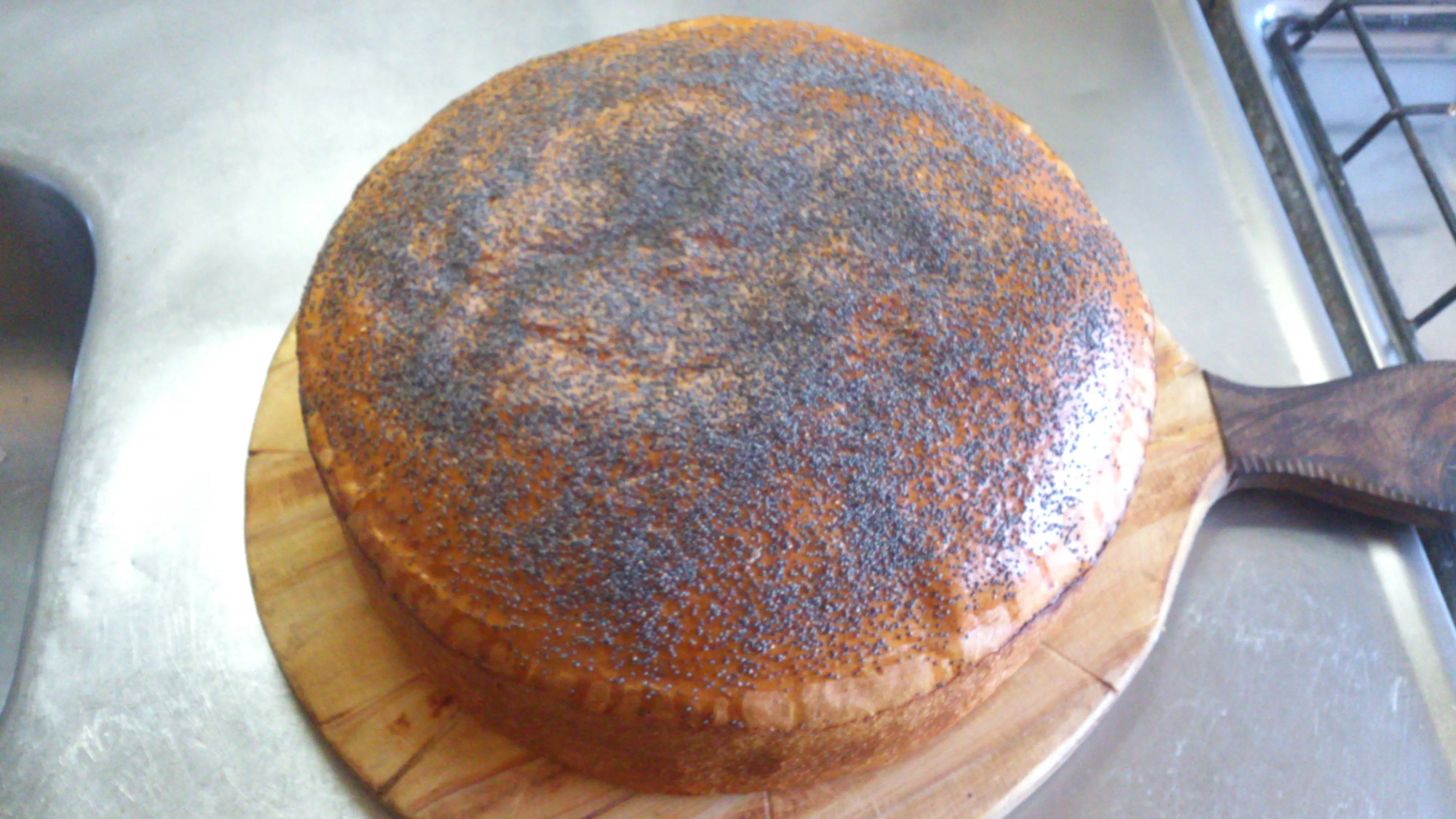 panaderost