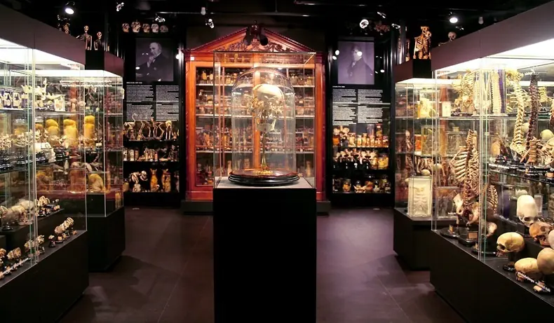 Museos