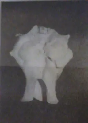 paranormal