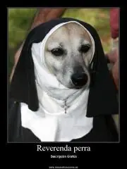 humor