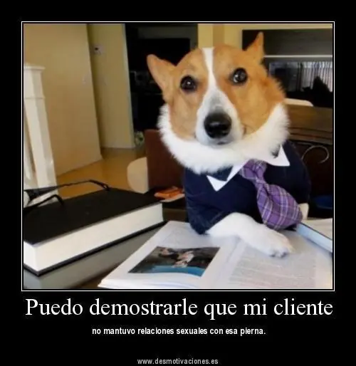 memes