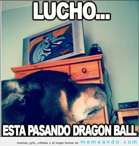 humor