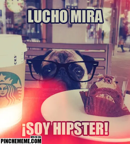 cuantocabro