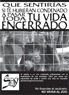 inteligencia