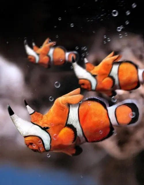 Animales Fusionados
