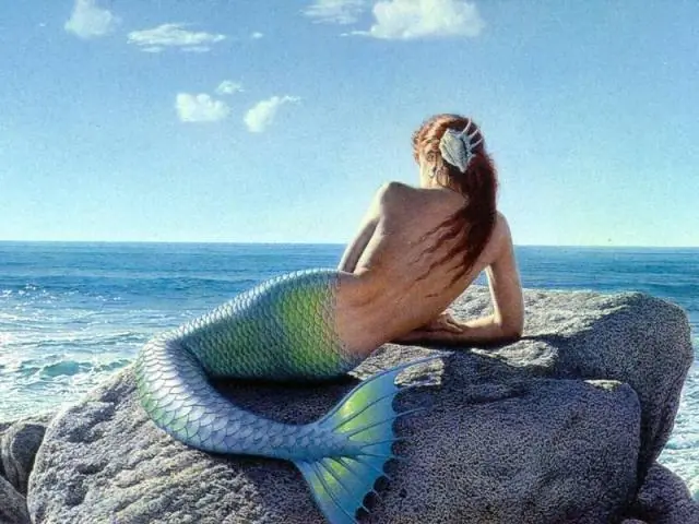 Sirenas ¿reales? Videos que lo comprueban