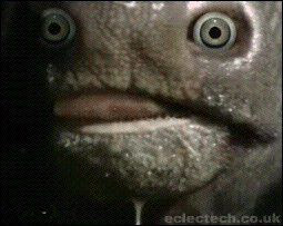 Loco