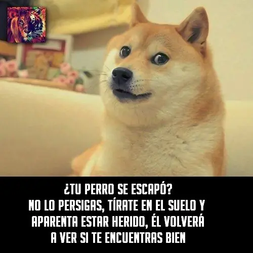 aburrido