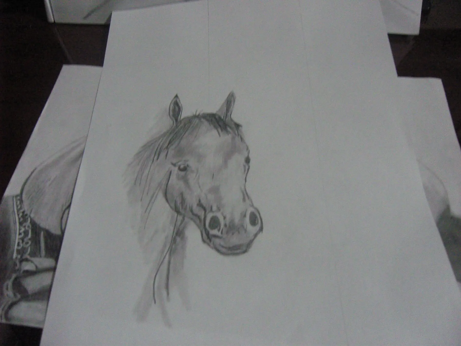 Dibujos compilados (sir-11)