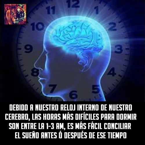 diversion