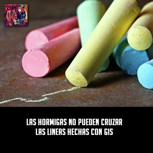 aburrido