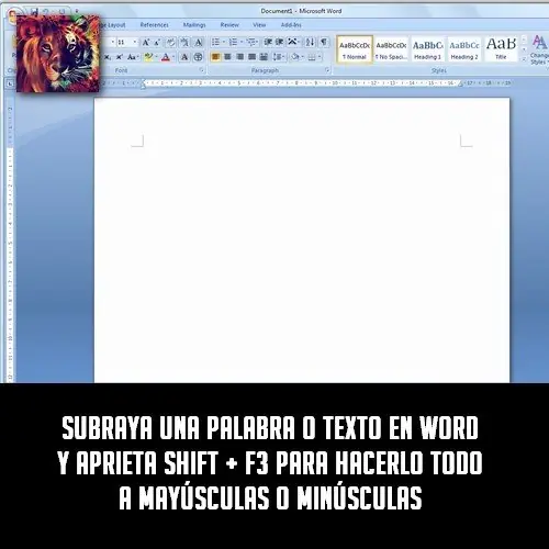 Curiosidades