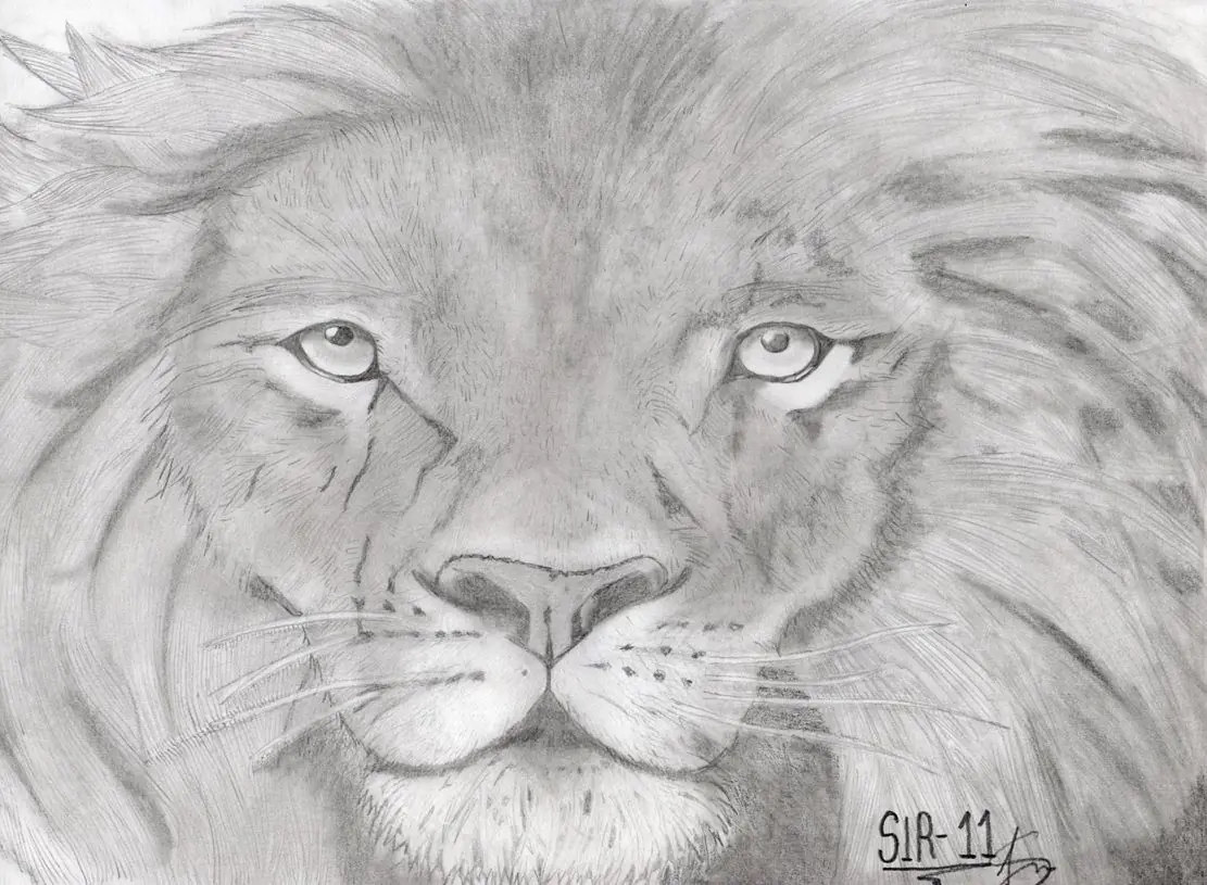 Dibujos compilados (sir-11)