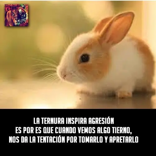 diversion