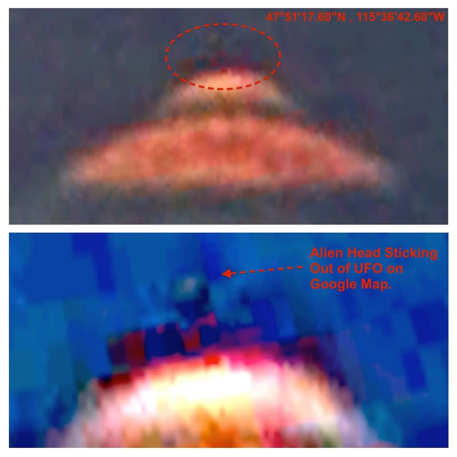 Extraterrestre real fotografiado en OVNI